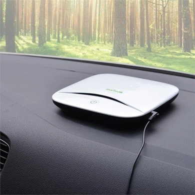 Car Air Purifier for Allergies