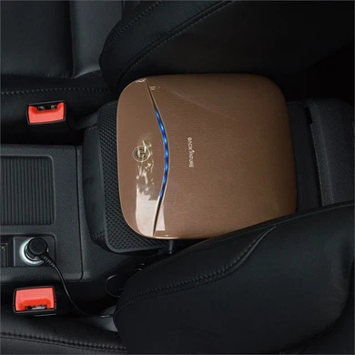 Car Air Purifier for Allergies