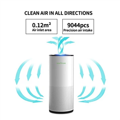 Charcoal Home Air Purifier