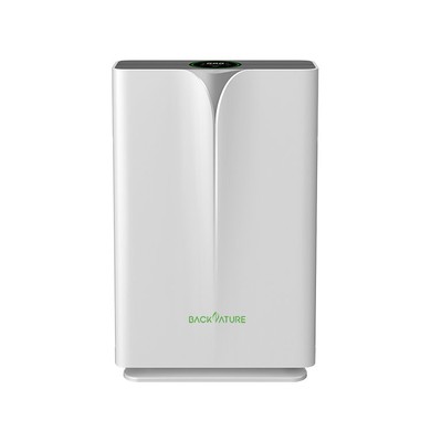 HEPA Air Purifier with Humidifier