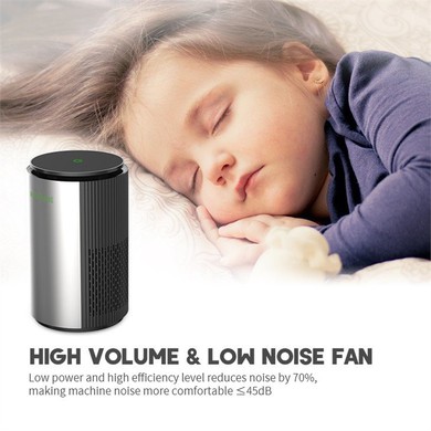 Mini Air Purifier for Allergies