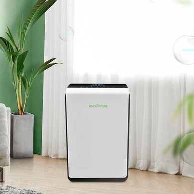 Portable Ionic Air Purifier
