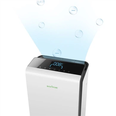 Portable Ionic Air Purifier