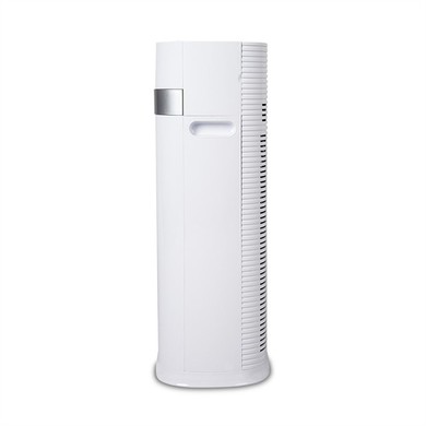 Portable VOC Air Purifier