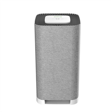 Small Air Purifier for Allergies