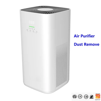 Air And Dust Purifier