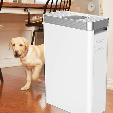 Best Air Purifier For Dust And Pet Hair