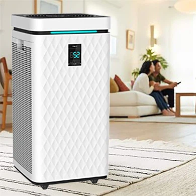 Best Large Air Purifier