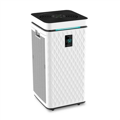 Best Large Air Purifier