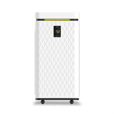 Best Large Air Purifier