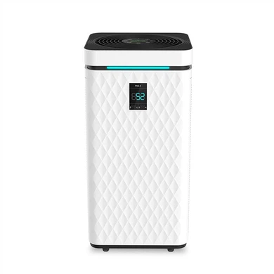 Best Large Air Purifier