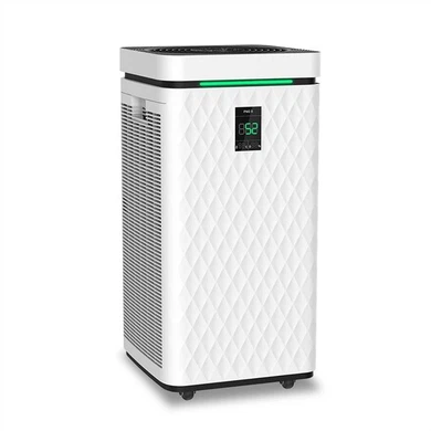 Best Large Air Purifier