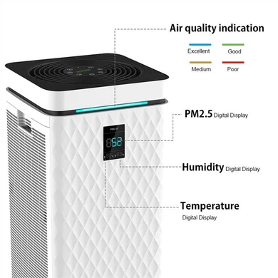 Best Large Air Purifier