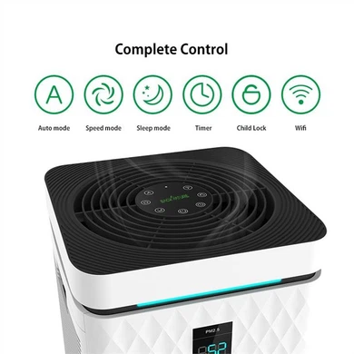 Best Large Air Purifier