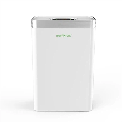 Personal Ionic Air Purifier