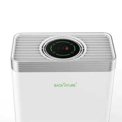 Personal Ionic Air Purifier