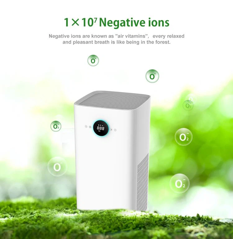 UV Air Purifier For Home 09