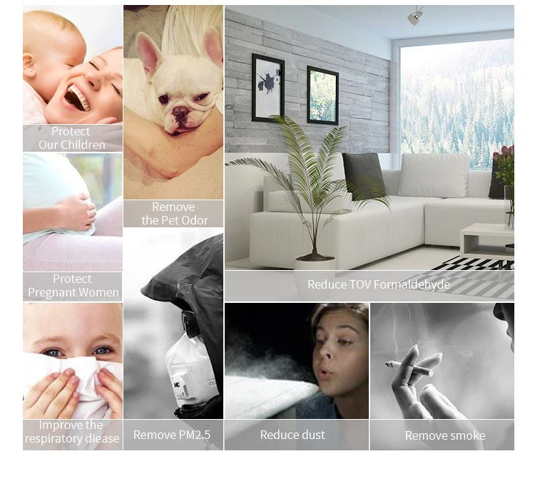 Room Air Purifier With H13 HEPA Filter, Filters 99.97% smoke, pollen, allergens, bacteria, molds and viruses 02