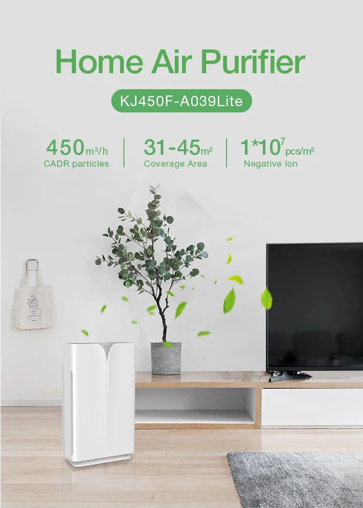 HEPA Air Purifier With H13 HEPA Filter, Filters 99.97% smoke, pollen, allergens, bacteria, molds and viruses 01