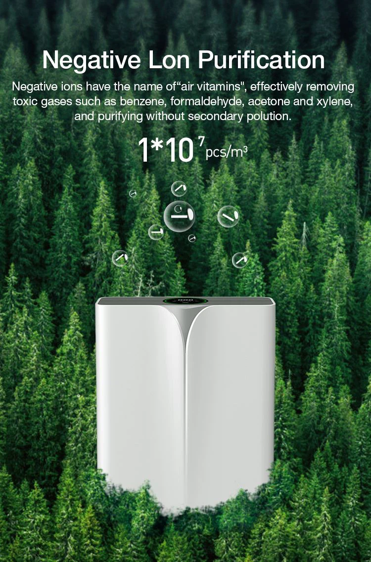 HEPA Air Purifier With H13 HEPA Filter, Filters 99.97% smoke, pollen, allergens, bacteria, molds and viruses 06