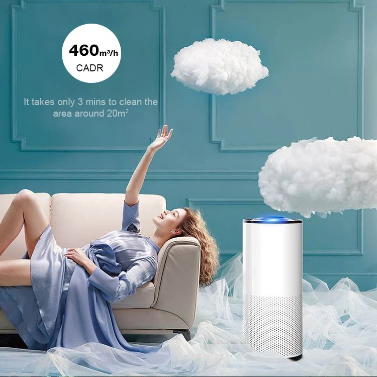 Home Air Purifier With H13 HEPA Filter, Filters 99.97% smoke, pollen, allergens, bacteria, molds and viruses 04