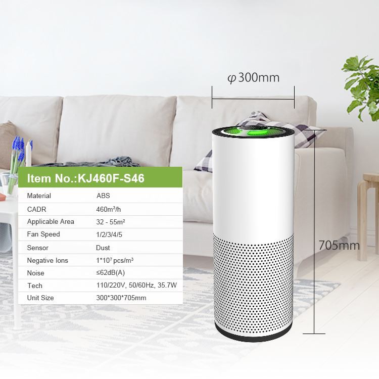 Home Air Purifier With H13 HEPA Filter, Filters 99.97% smoke, pollen, allergens, bacteria, molds and viruses 10