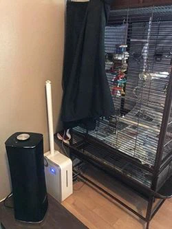 Tower Air Purifier Reviews 20210102.jpg