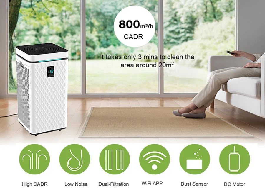 Top HEPA Air Purifiers 01