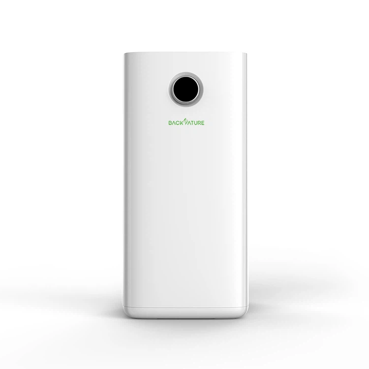 Indoor Air Purifier for Pollen