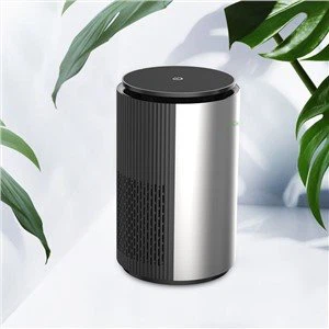 Mini Air Purifier for Pollen