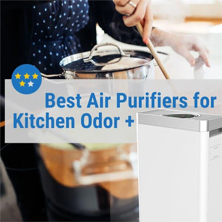 Air Purifier For Kitchen Odors