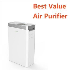 Best Value Air Purifier