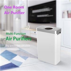 One Room Air Purifier